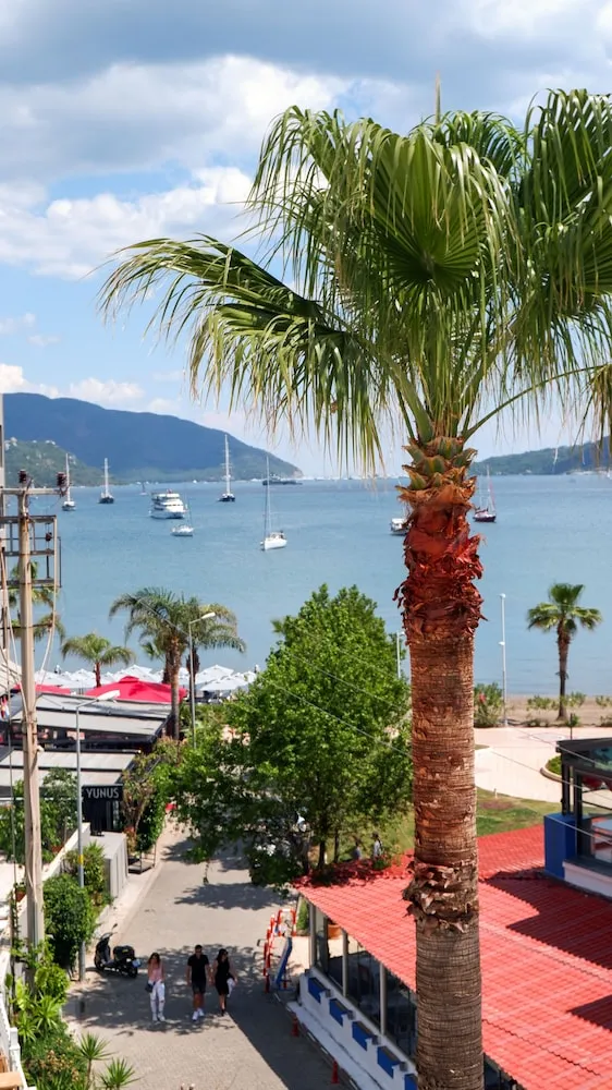 Standard Sea View