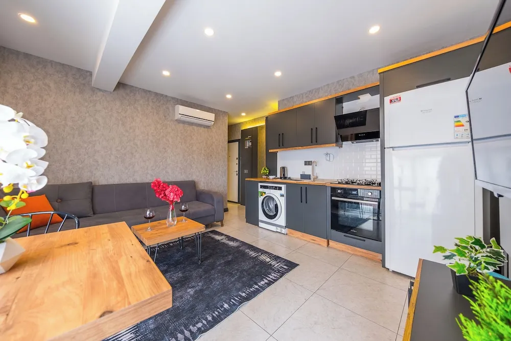 Deluxe Suite 1+1