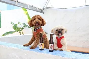 Casa De Fisi Alaçatı