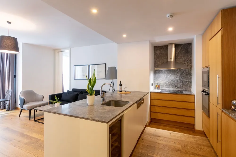 Deluxe Apart Daire, 2 Yatak Odası, Sigara İçilmez, Şehir Manzaralı