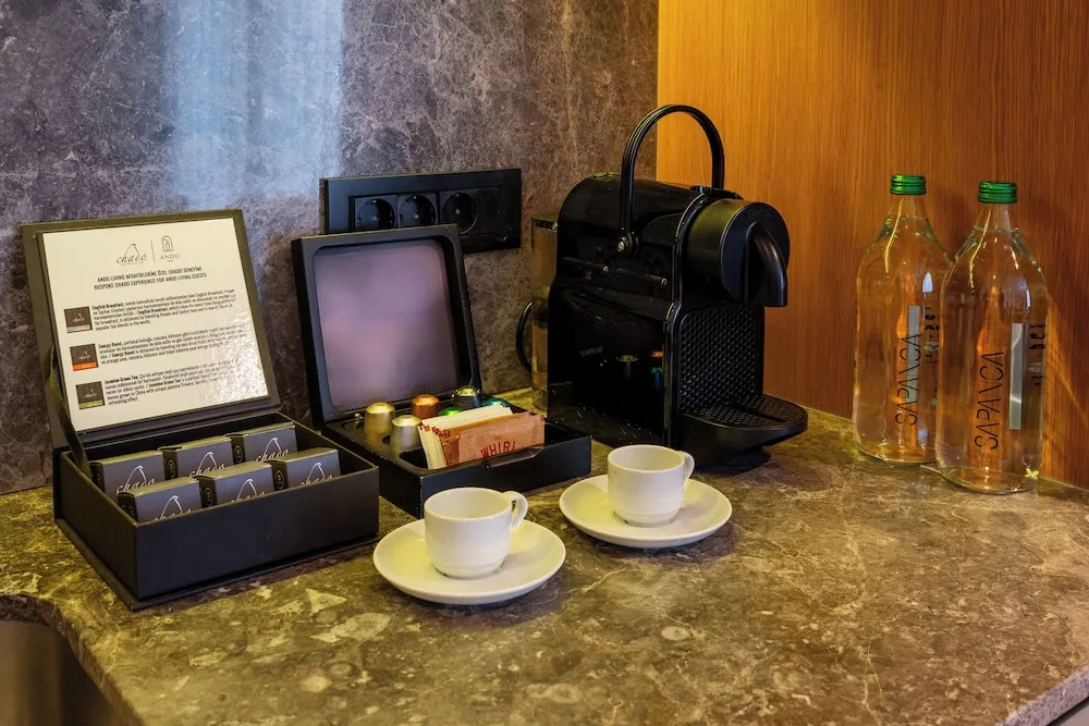 Superior Çatı Katı Süiti (Penthouse), 1 Yatak Odası, Sigara İçilmez, Şehir Manzaralı