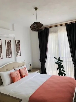 Salvia Butik Söğüt