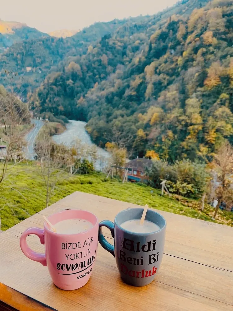 Basic Bungalov, Dağ Manzaralı