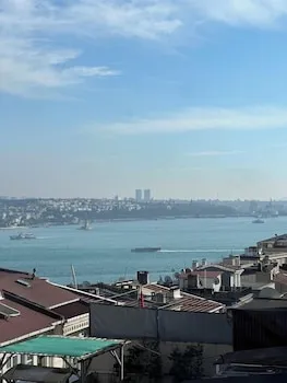 Roj Suite