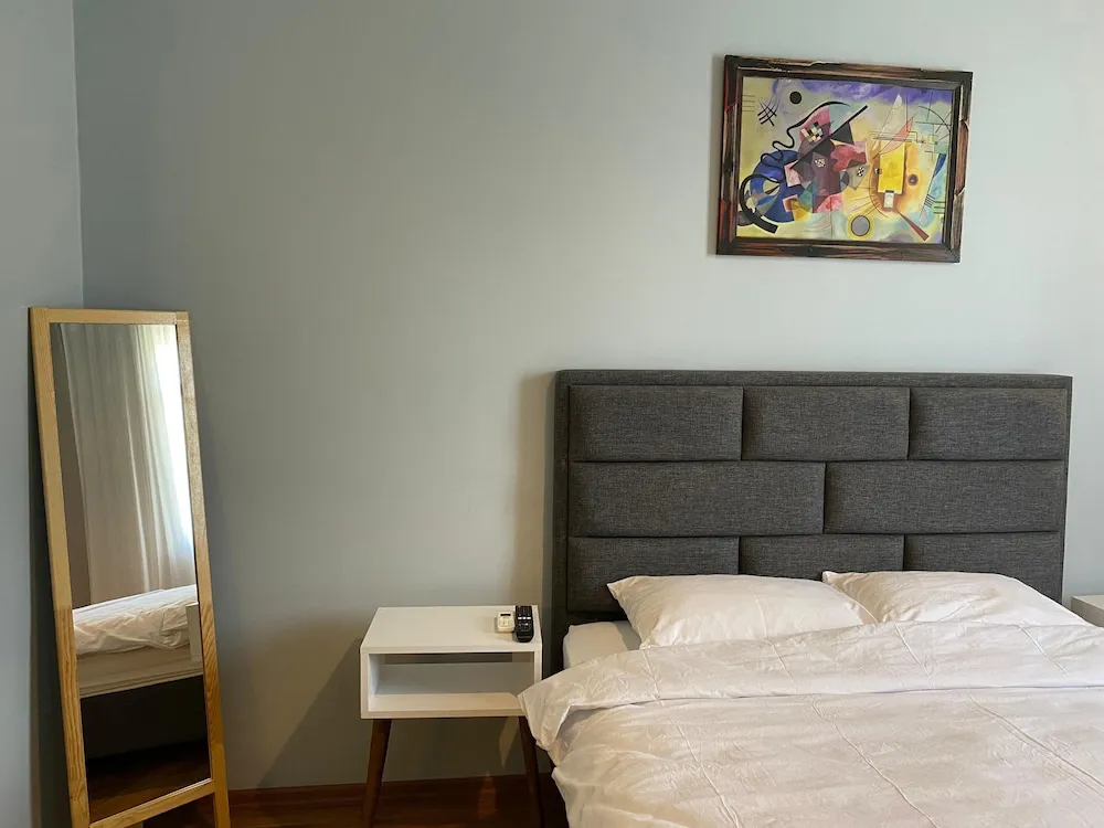 Deluxe Oda, Sigara İçilmez, Banyolu/Duşlu