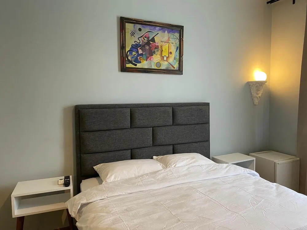 Deluxe Oda, Sigara İçilmez, Banyolu/Duşlu