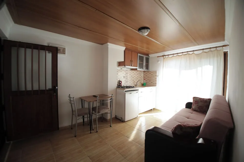 Çatı Katı (Loft)