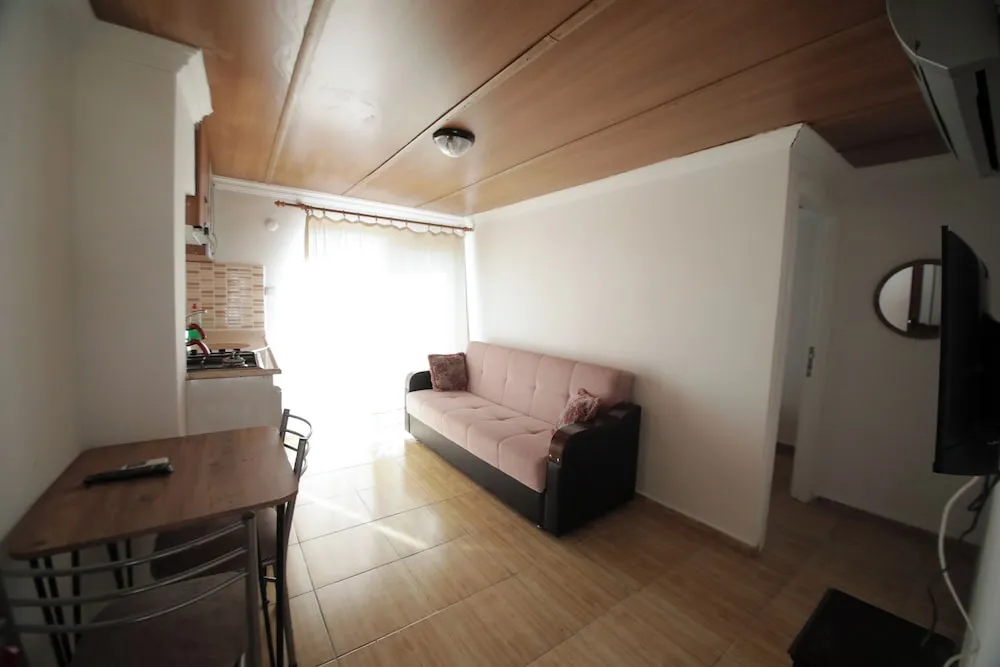 Çatı Katı (Loft)
