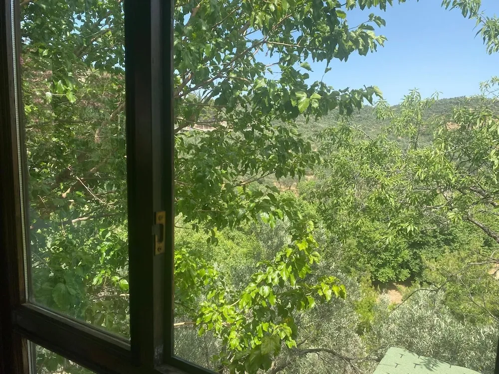 Oda, Veranda, Dağ Manzaralı