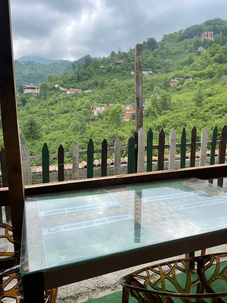 Economy Oda, Sigara İçilmez, Dağ Manzaralı