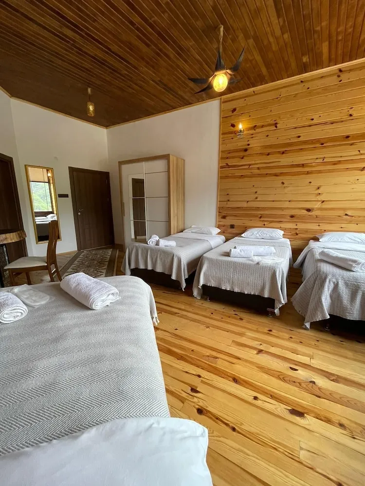 Grand Oda, Birden Çok Yatak, Sigara İçilmez, Dağ Manzaralı