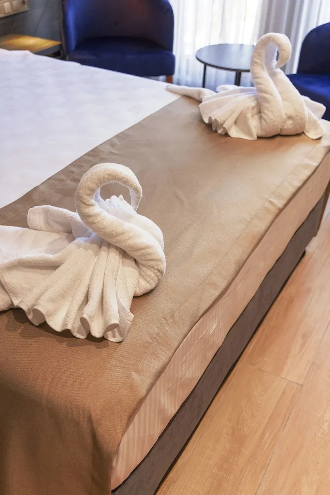 Superior Tek Büyük Yataklı Oda