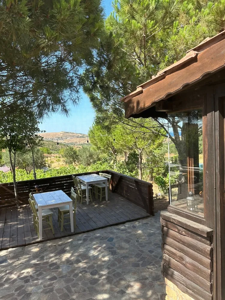 Deluxe Tek Büyük Yataklı Oda, Üzüm Asması Manzaralı