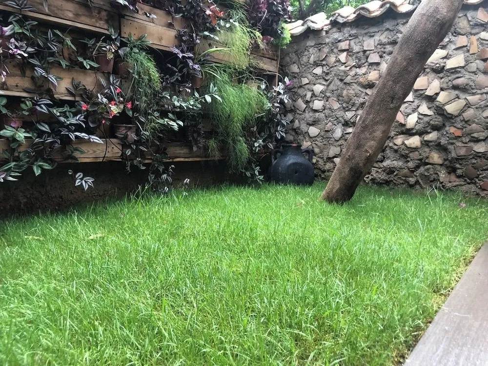 Grand Villa, Bahçe Manzaralı