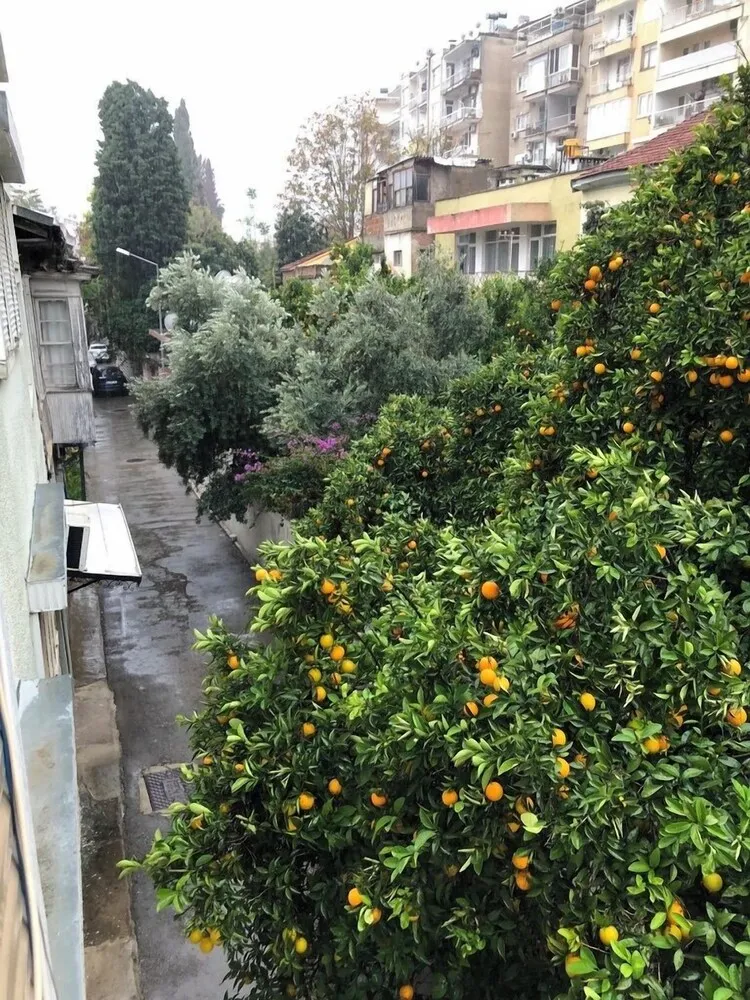 Standard Apart Daire