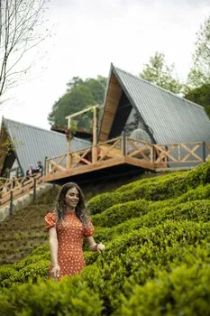Aliki Bungalow