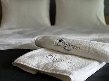 Palmon Hotel