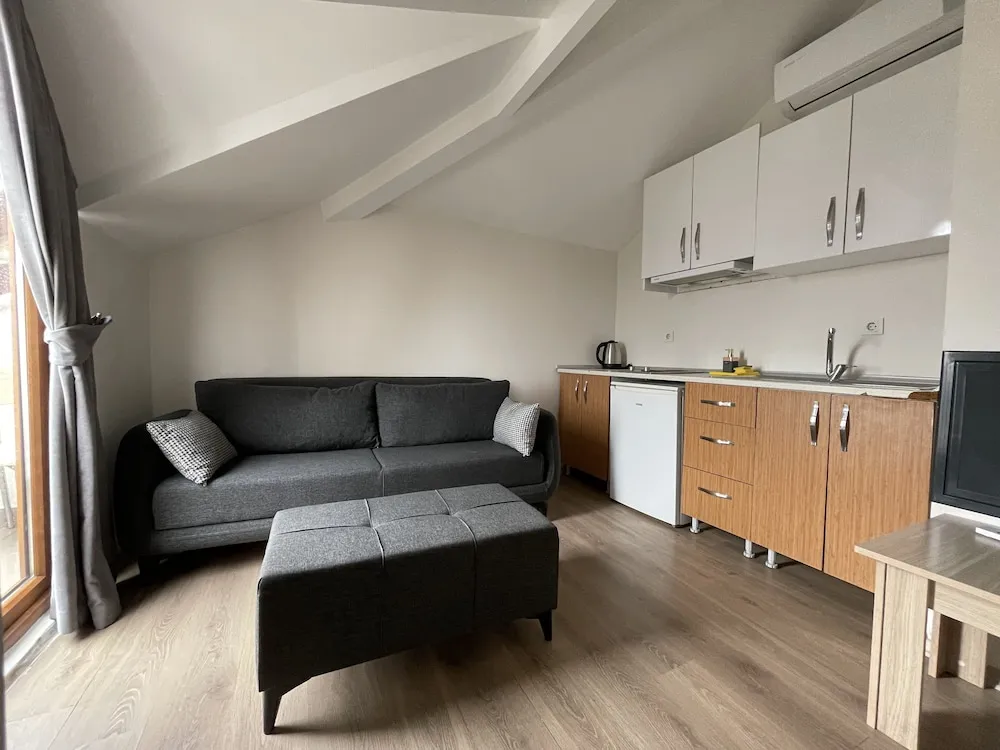 Panoramic Çatı Katı Süiti (Penthouse), Şehir Manzaralı