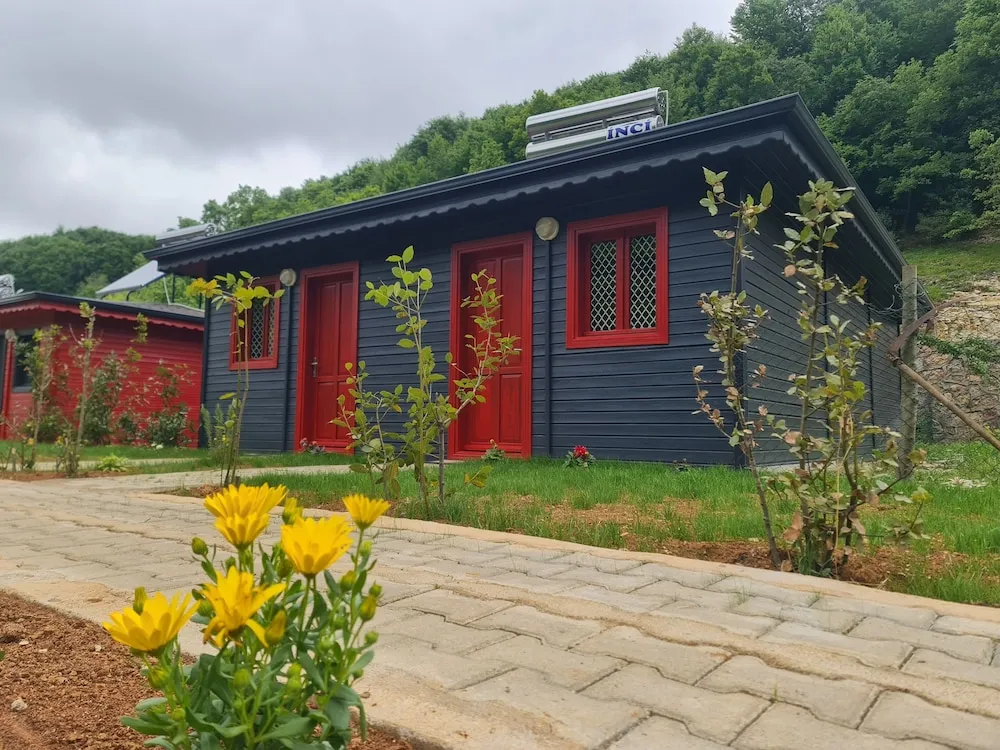 Basic Bungalov