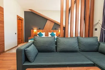 Library Hotel Erciyes