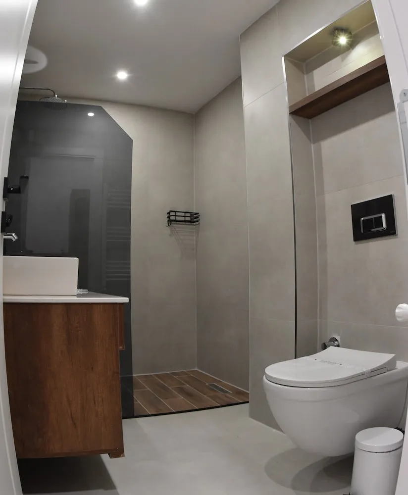 Standard Tek Büyük veya İki Ayrı Yataklı Oda, Sigara İçilmez, Şehir Manzaralı