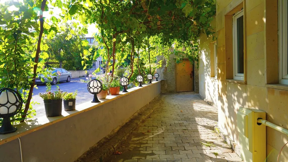 Design Oda, 1 En Büyük (King) Boy Yatak