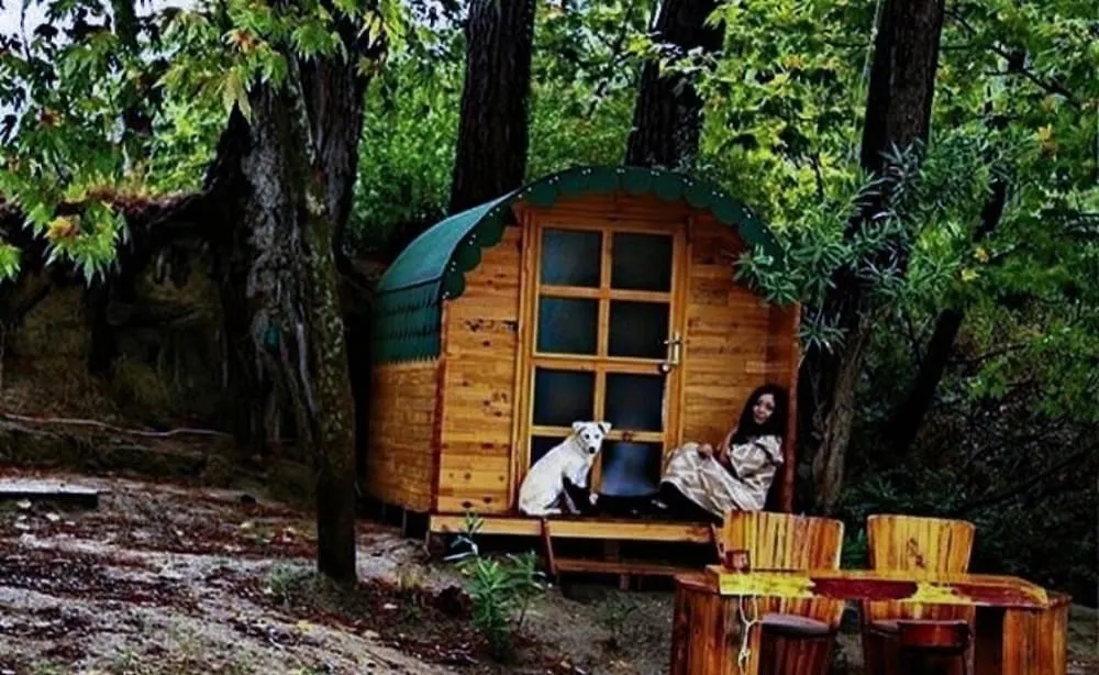 Economy Stüdyo, 1 Çift Kişilik Yatak, Sigara İçilebilir, Bahçe Manzaralı