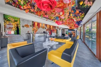 İllusion Beach Club Hotel +16 Only Adult