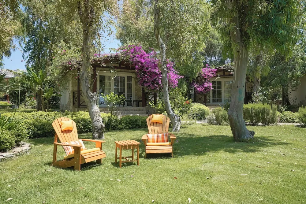 Exclusive Bungalov