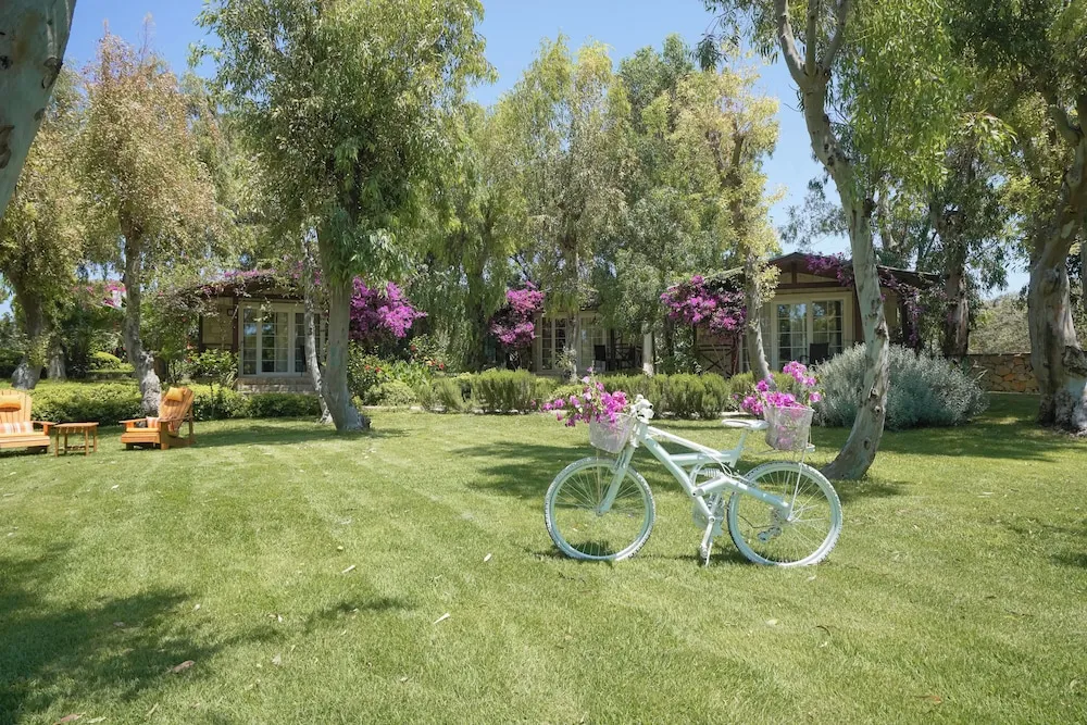 Exclusive Bungalov