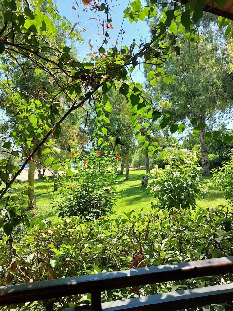Exclusive Bungalov