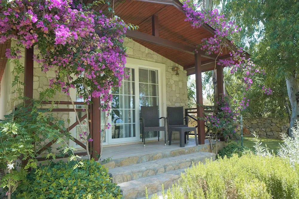 Exclusive Bungalov