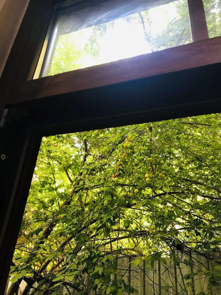 Economy Üç Kişilik Oda