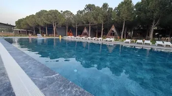 Welllife Hotels & Restaurant