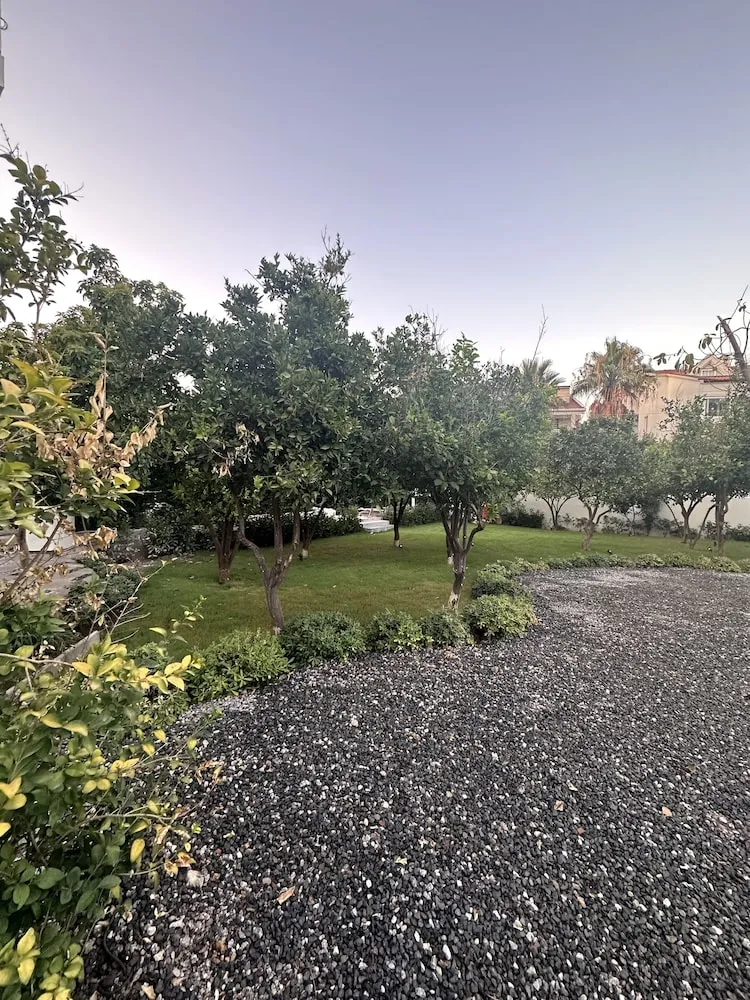 Superior Çatı Katı (Loft)