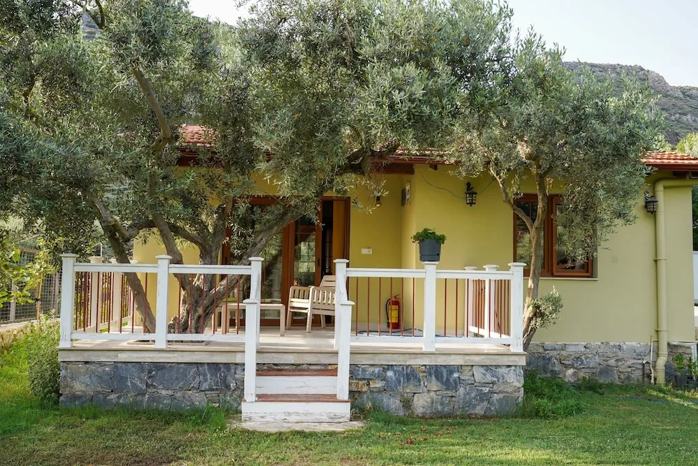 Deluxe Dağ Evi