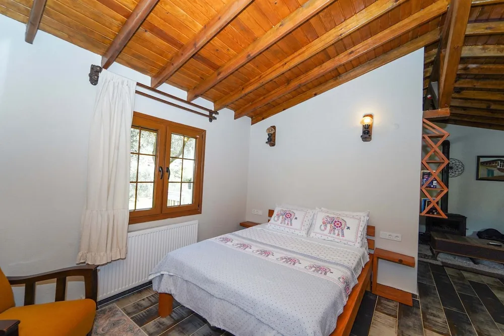 Deluxe Dağ Evi