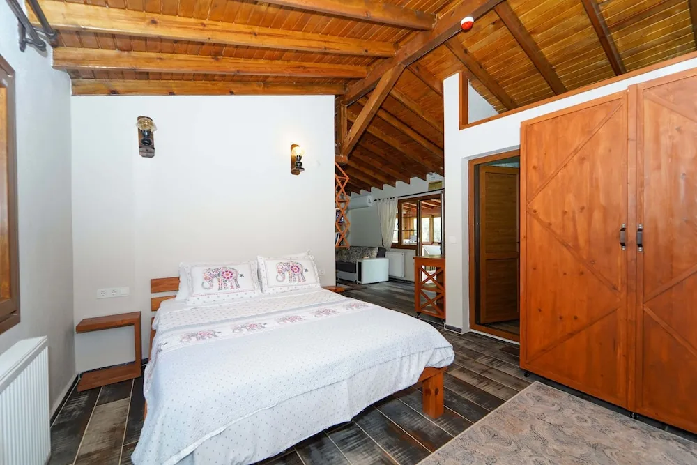 Deluxe Dağ Evi