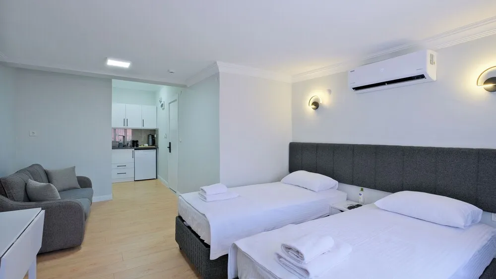 Deluxe Stüdyo Süit, 1 Büyük (Queen) Boy Yatak ve Çekyat