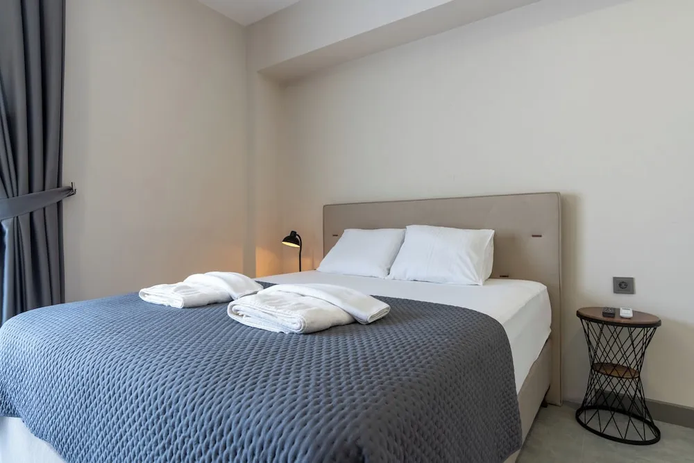 Deluxe Stüdyo, 1 Büyük (Queen) Boy Yatak, Küçük Mutfak