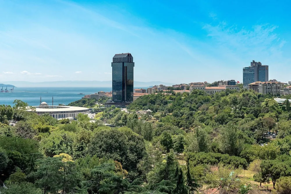 Süit, 1 Yatak Odası, Park Manzaralı