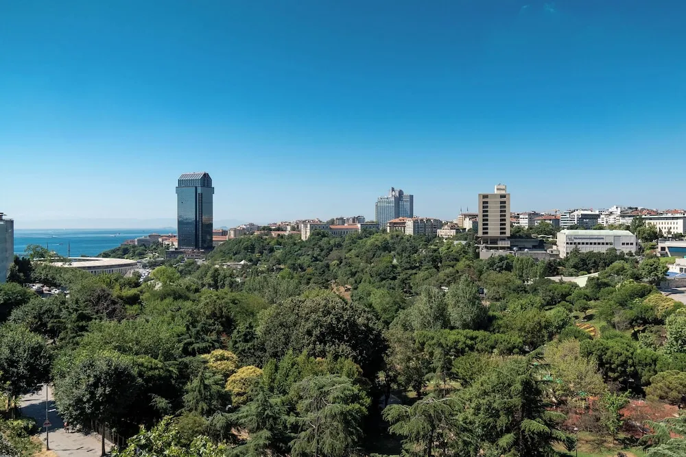 Grand Oda, 1 En Büyük (King) Boy Yatak, Sigara İçilmez, Park Manzaralı (Balcony)