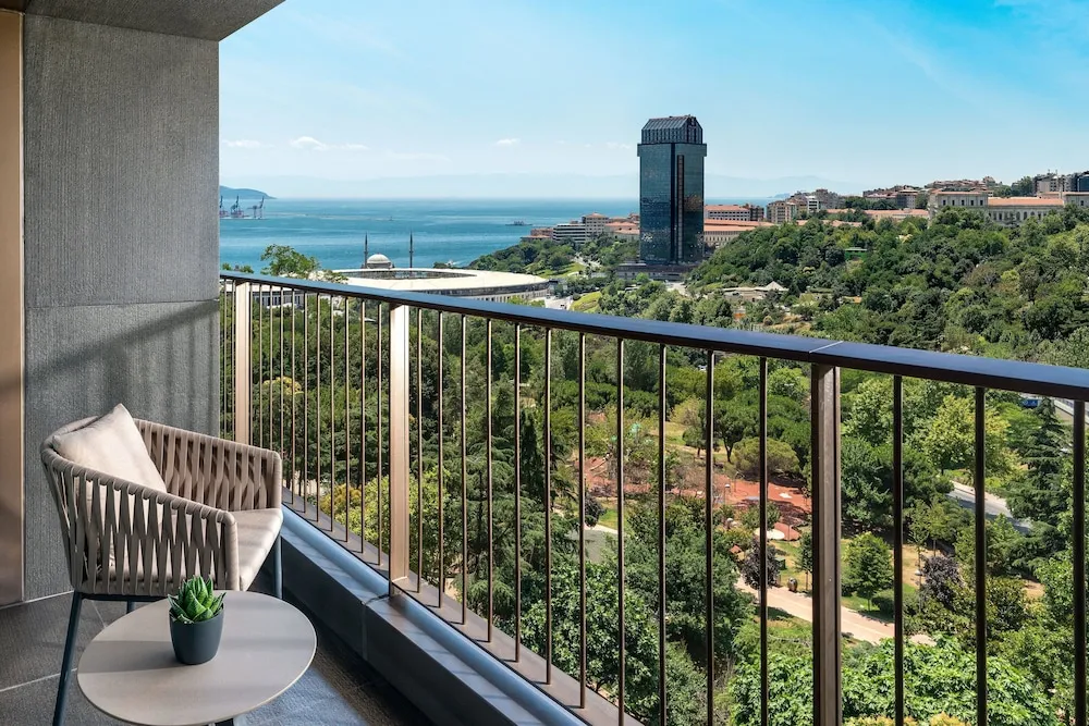Süit, 1 Yatak Odası, Sigara İçilmez, Park Manzaralı