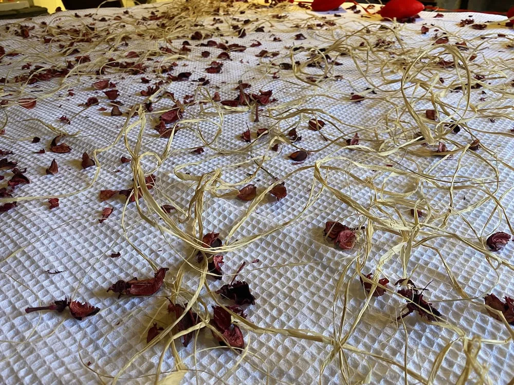 101 - Deluxe Jakuzili Somineli Bahce Manzarali