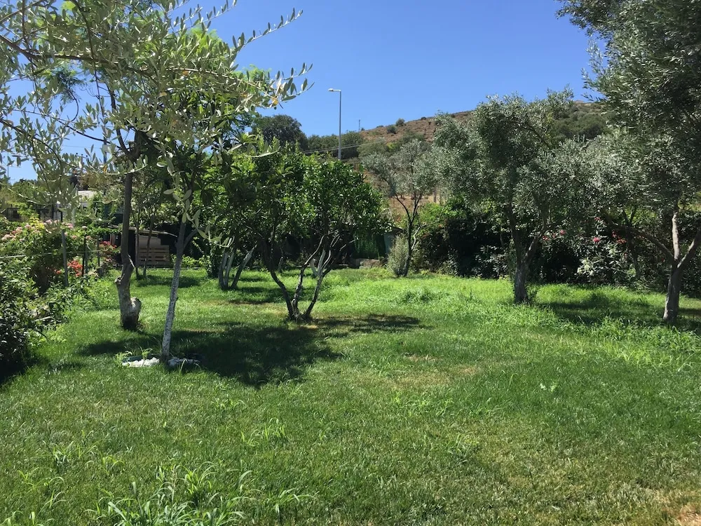 Comfort Stüdyo Süit, Dağ Manzaralı