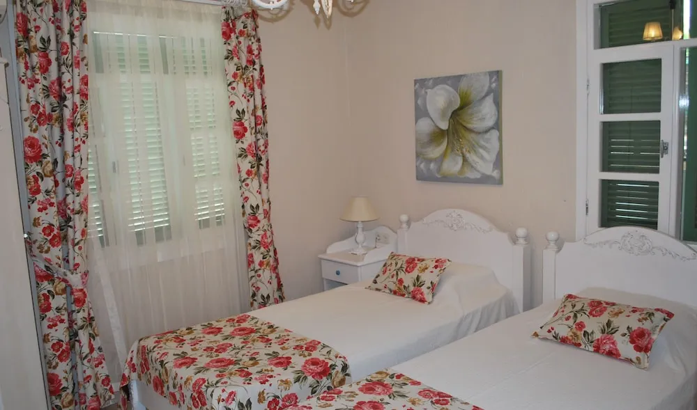 Standard Plus Twin Room