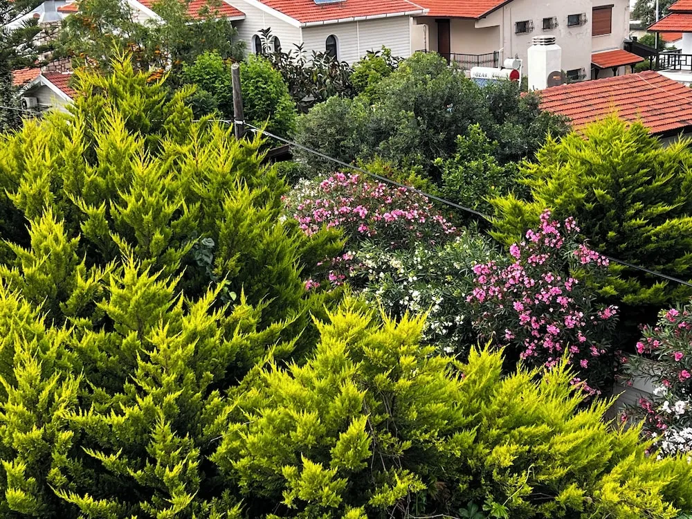 Exclusive Oda, Deniz Manzaralı