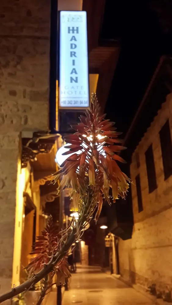 Deluxe Dört Kişilik Oda, 1 Yatak Odası, Şehir Manzaralı