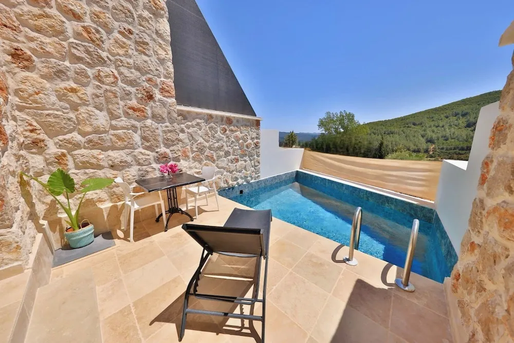 Luxury Villa (Private Pool) 3