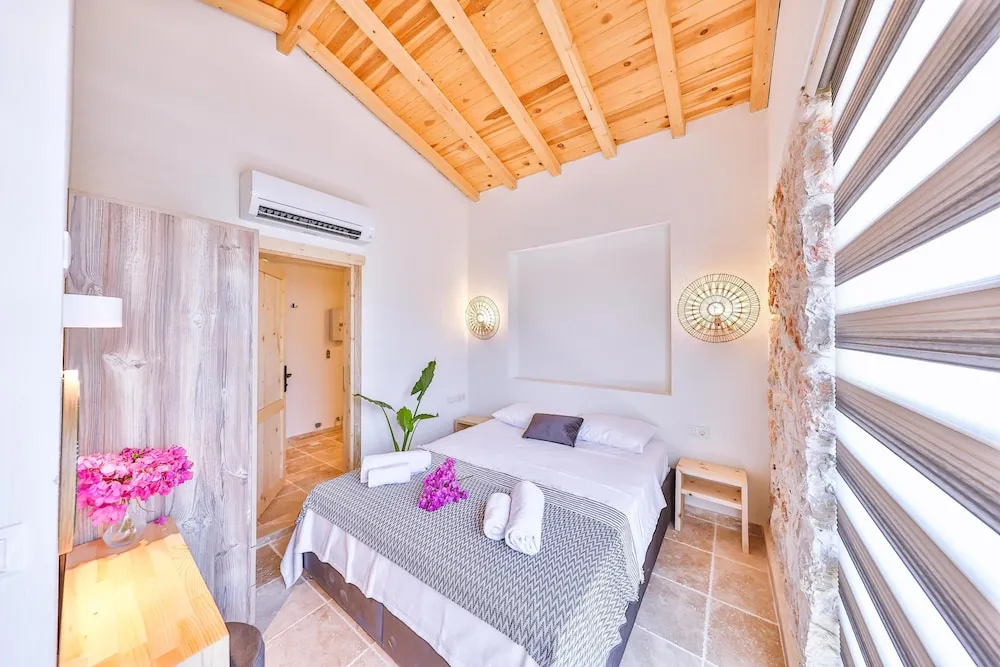 Luxury Villa (Private Pool) 4